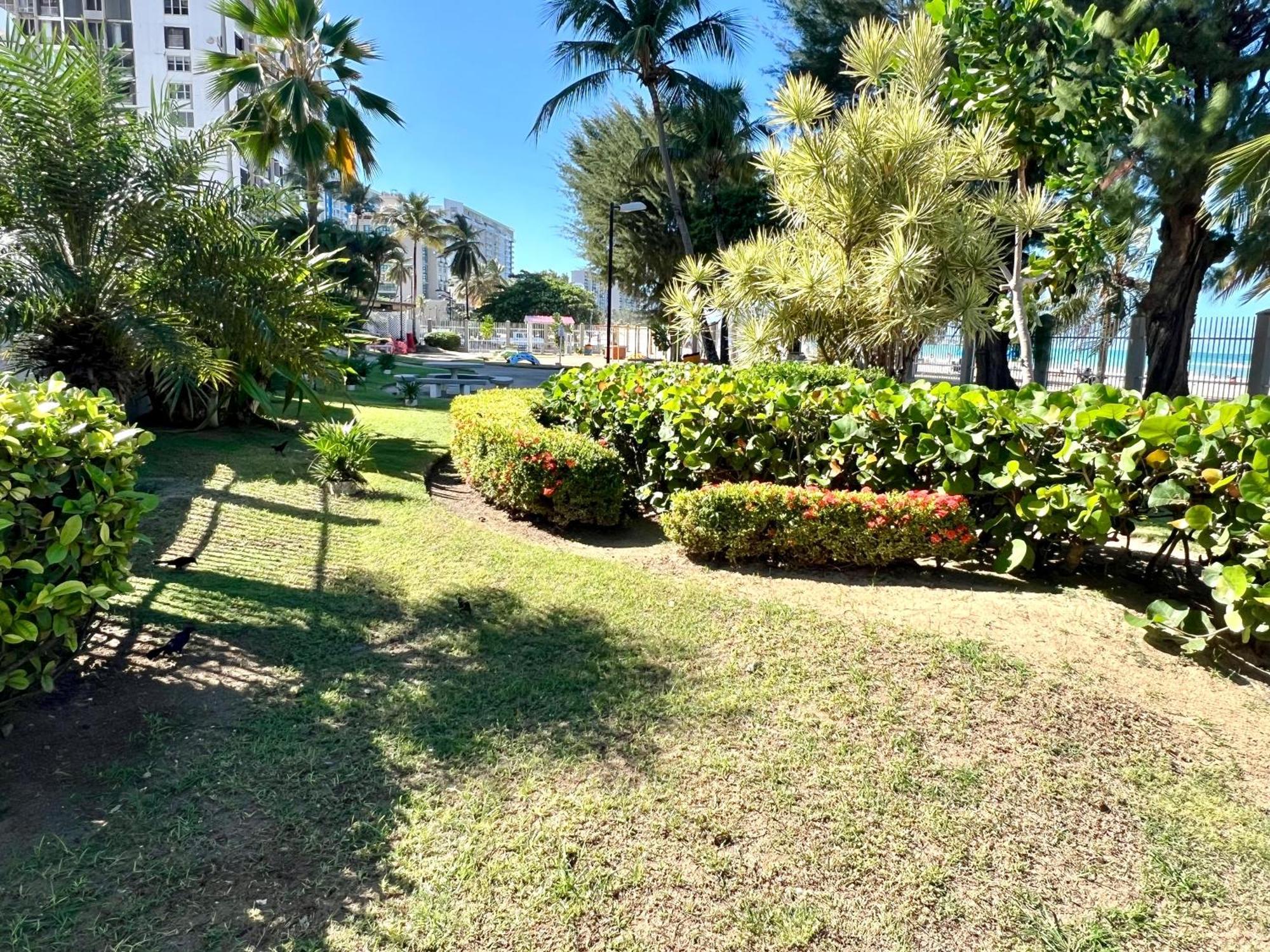 Ocean View Apt On Isla Verde In A 14Th Floor San Juan Exterior foto
